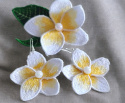 Biały kwiat plumeria z perełką - kolczyki