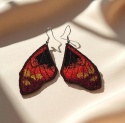 Kolczyki skrzydła motyla czerwono czarne